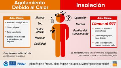 Recomendaciones clave: evitar exposición solar entre las 10 y las 16 horas, hidratación constante y nunca dejar personas o animales en autos
