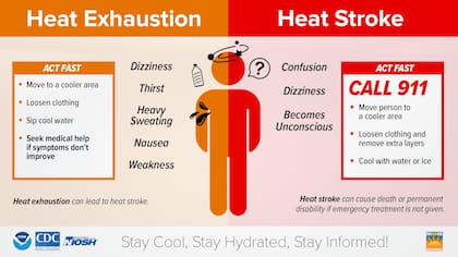 Recomendaciones para combatir el calor