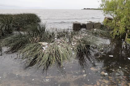 Recondo había trabado un embargo multimillonario sobre las cuentas de la Provincia hasta tanto se desarrollaran las obras de saneamiento pendientes