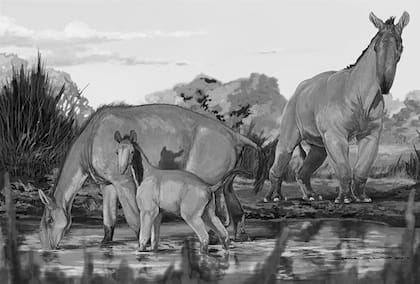 Reconstrucción artística de la Macrauchenia patachónica