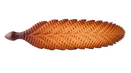 Reconstrucción de Charnia masoni del Museo delle Scienze en Trento, Italia