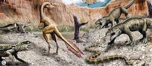 Un cocodrilo muy distinto a los actuales: el hallazgo de un fósil de 85 millones de años que sorprende