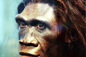 Un hallazgo sugiere que los Homo erectus y los denisovanos se aparearon y dejaron rastros