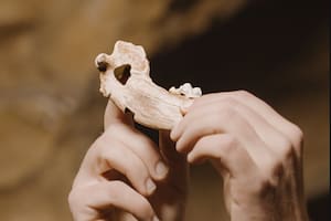 El cachorro que reescribe la historia: hallan en Turquía al perro doméstico más antiguo del mundo