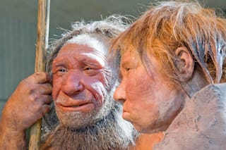Hombres neandertales con mujeres sapiens: la genética revela cómo fue el sexo de nuestros ancestros