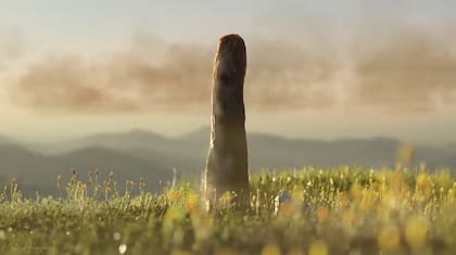 Reconstrucción del ciclo de vida de Prototaxites taiti creciendo en el ecosistema de sílex de Rhynie, de 407 millones de años de antigüedad. Foto: Matt Humpage/Northern Rogue Studios.