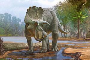 Hallaron un nuevo dinosaurio con cuernos del Cretácico en Nuevo México