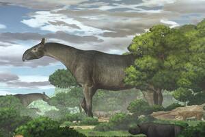 Hallan fósiles del mamífero terrestre más grande de la historia