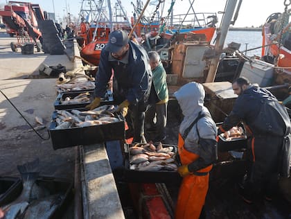 Recorrida por la 5 Seccion Electoral
Pesca en General Lavalle, Provincia de Buenos Aires. 29 de Julio 2025.