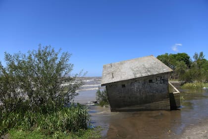 Recorrida por las costas del Río de La Plata en la ciudad de Berisso. Investigadores y ONG´s estudian las desembocaduras de residuos cloacales en el río y su impacto en la región.