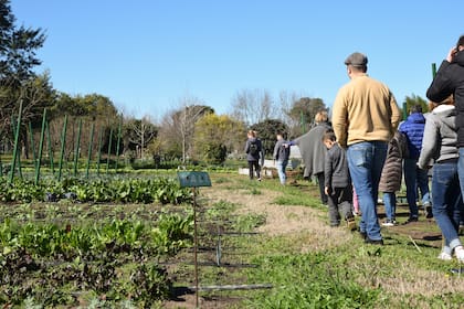 Recorrido por la huerta de La Pebeta de Cardales.