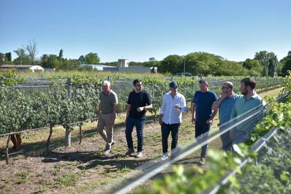Recorrió una bodega en Colonia Caroya; mañana va al festival de "la Mona" Jiménez.