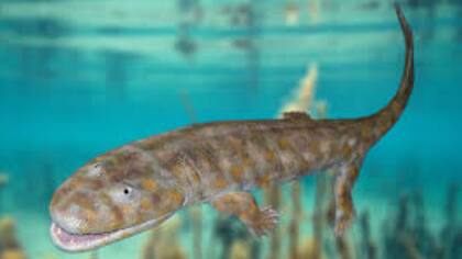 Recreación artística de un tetrápodo