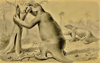 Recreación del megaterio hecha en Londres, en 1896.