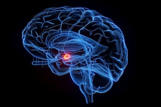 Un estudio del cerebro sugiere que los recuerdos traumáticos se procesan como experiencia presente