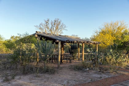 Recuperando una técnica constructiva de sus antepasados, acanalaron troncos de palmas muertas para armar un tejado colonial, sostenido por horcones de quebrachos caídos, o alguna madera dura tan famosa de esta zona.