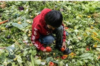 Recuperar a los niños que salieron de la educación para ayudar a sus familias durante la pandemia debe ser una prioridad, según Unesco