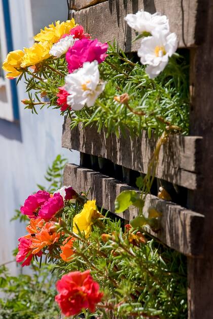 Recuperar maderas en desuso para armar contenedores es un recurso que evita el consumo de plástico