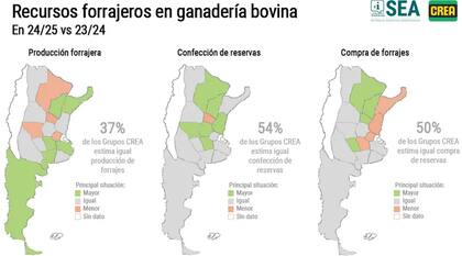 Recursos forrajeros en ganadería bovina
