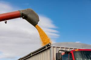 Contrabando: la Afip informó que realizó el mayor decomiso de granos de su historia