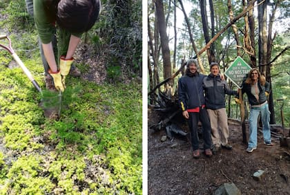Red Pinos realiza charlas sobre los impactos de la invasión de pinos y su relación con el fuego