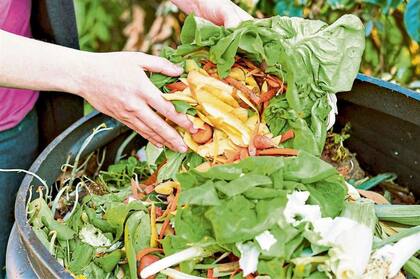 Reducir el derroche y reasignar alimentos ayuda a paliar el hambre y cuidar el ambiente