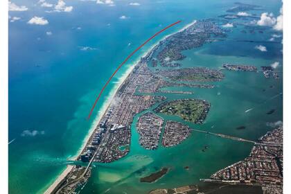 La curadora Ximena Caminos presentará en Art Basel 2021 la barrera de coral ReefLine Miami Beach