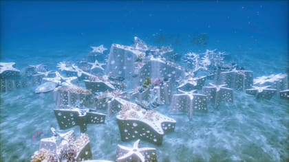 REEFLINE prevé concretarse dentro de diez años