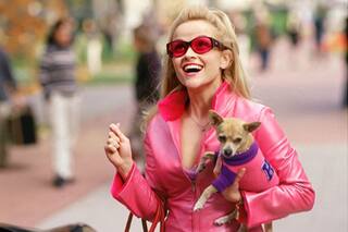 Reese Witherspoon prepara la serie de Legalmente rubia y los fans enloquecieron con la noticia