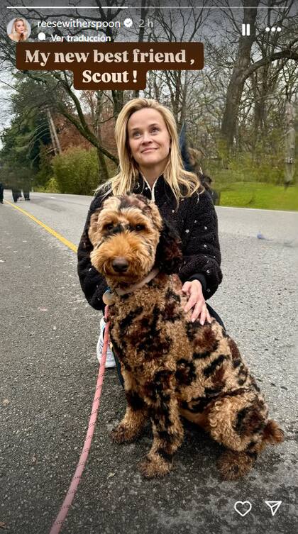 Reese Witherspoon sorprendió al presentar a Scout, su nueva mascota (Captura: Instagram @reesewitherspoon)