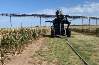 Con previsibilidad para producir, en los EE.UU. aplican lo último de la tecnología