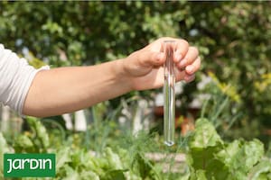 El riego con agua salina puede estar deteriorando tu jardín de forma progresiva