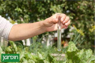 El riego con agua salina puede estar deteriorando tu jardín de forma progresiva