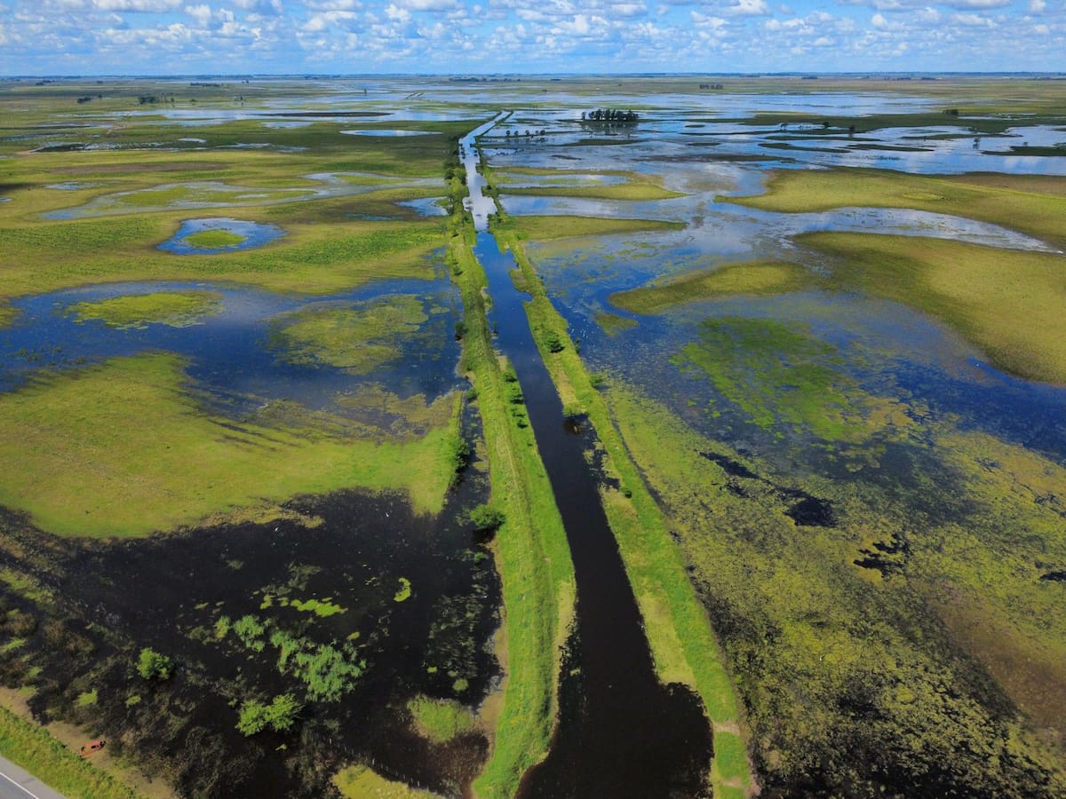 Quanta chuva caiu em 2025 e a surpresa que marcou o ano