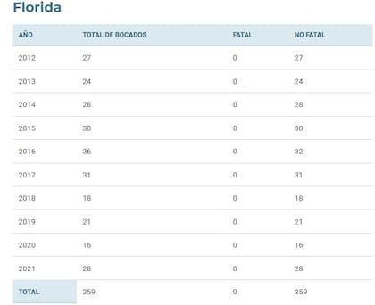 Registro de ataques de Tiburón en Florida 2012-2021. Fuente: ARCHIVO INTERNACIONAL DE ATAQUES DE TIBURÓN