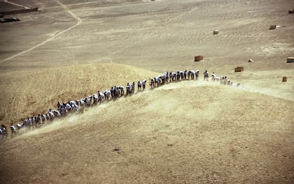 Registro de la acción, en 2002