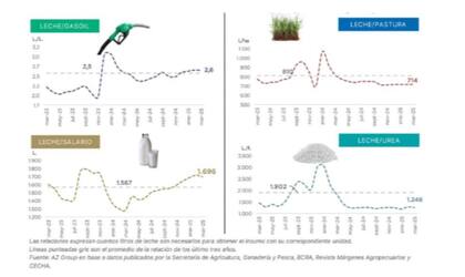 Relaciones insumo/producto en el tambo