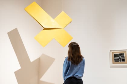 "Relevo espacial", de Hélio Oiticica