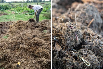Remover cada tanto el compost le dará el aire que necesita para que el material se descomponga. Las lombrices rojas acelerarán el proceso.