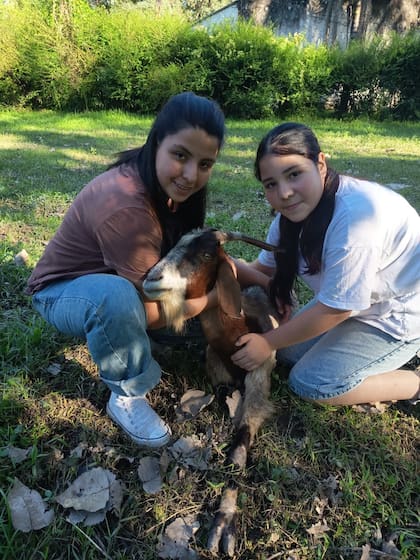 Renata quedó por unos días al cuidado de Mónica Pavón, sus hijas y otros voluntarios.