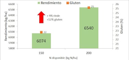 Rendimiento y gluten para dos situaciones de N disponible en el suelo.