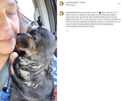 Reneé Cormillot, triste por separarse de una perrita que salvó de las calles  (Crédito: Instagram/@ReneeCormillot)