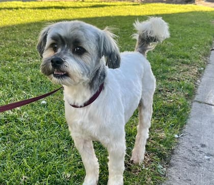 Renovados y dignos, listos para empezar una nueva vida.