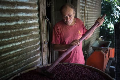 Renzo Ruscitti produce vino en la isla, al igual que lo hacía su hermano Miguel.