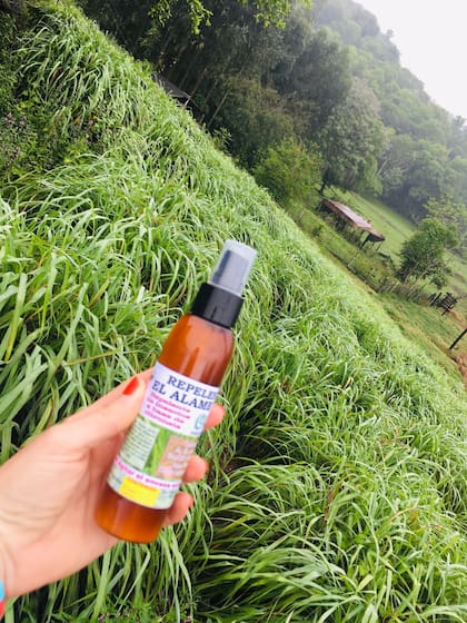 Repelente, uno de los usos de la citronela. Su olor es fuerte y cítrico