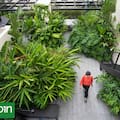 Cómo transformar jardines con decisiones simples pero potentes