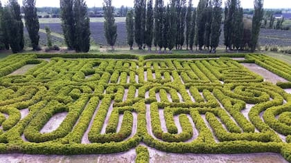 Repleto de simbolismo fue diseñado para recordar a Jorge Luis Borges y es la joyita de la Finca Los Álamos.