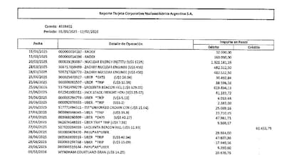 Reporte de la tarjeta corporativa de Nucleoeléctrica Argentina S.A.