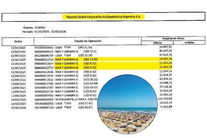 Reporte tarjeta corporativa Nucleoeléctrica Argentina S.A.