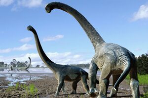 Estudiaban el fósil de un dinosaurio y descubrieron un secreto de 150 millones de años